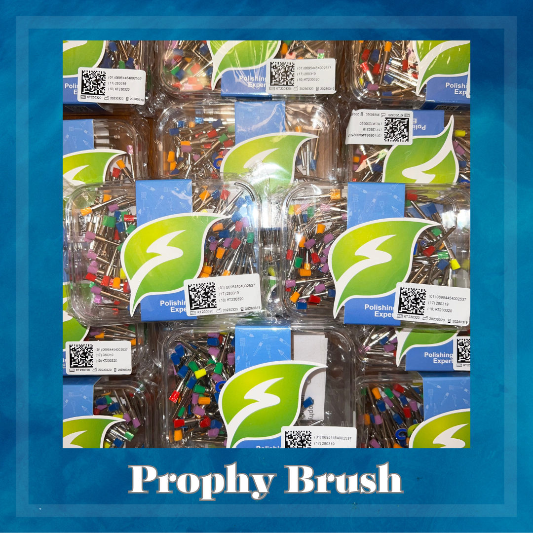 Cotisen Prophy Brush (Soft)